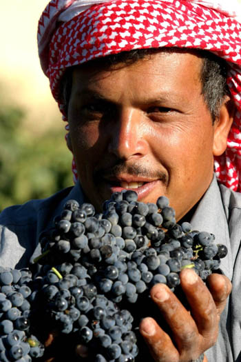 Raisins du Liban